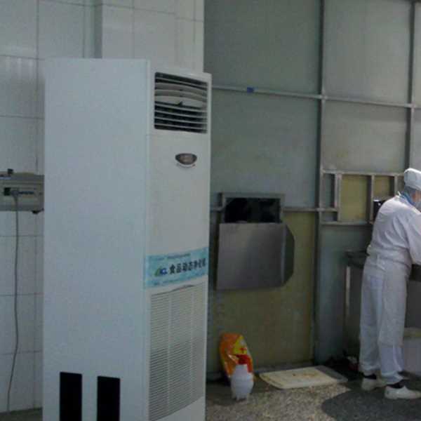 青岛食品正负离子空气杀菌器